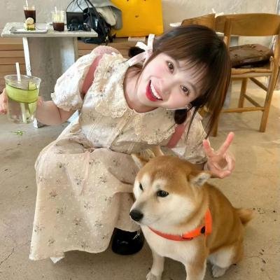 亲爱的新年好